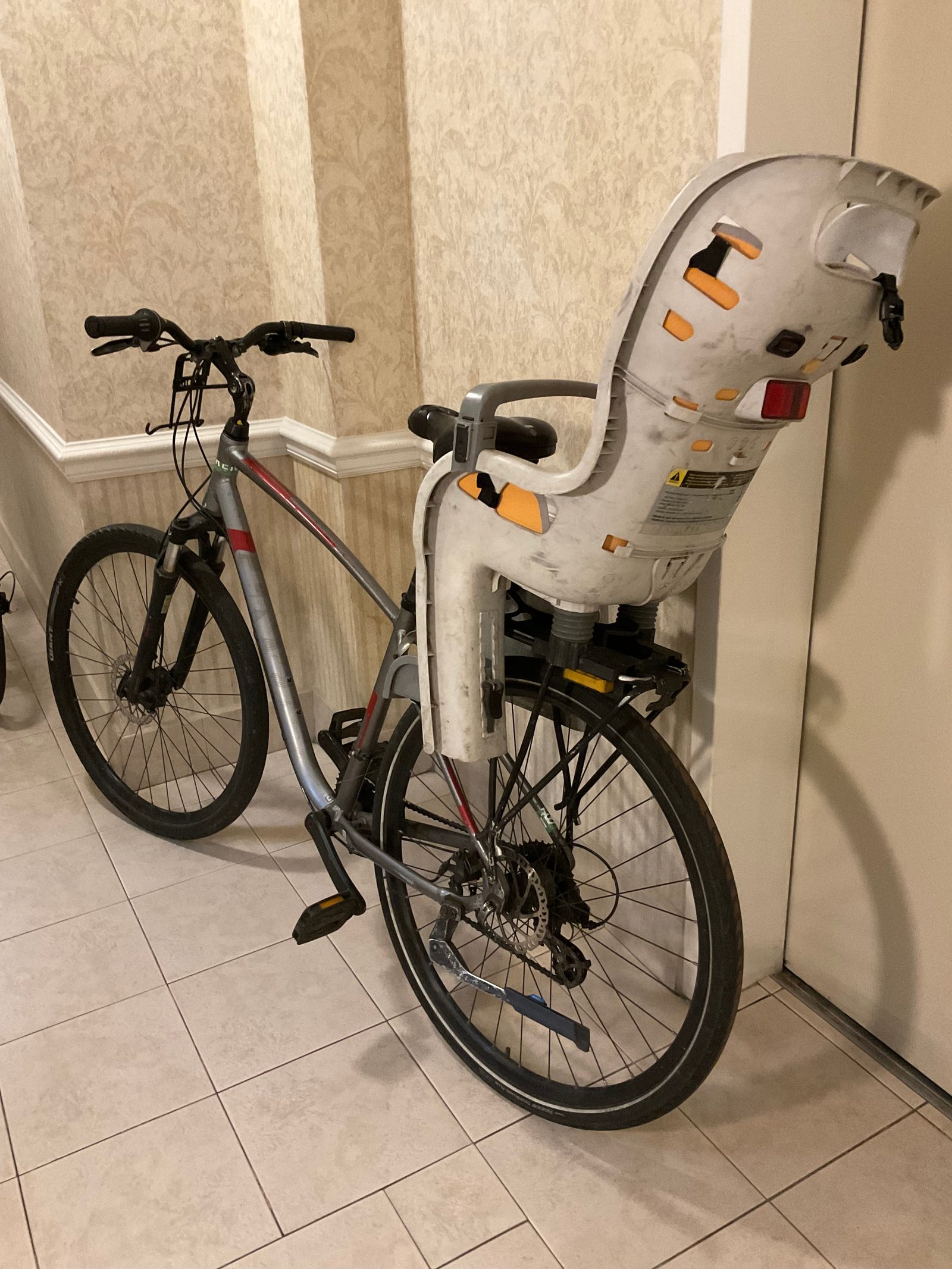 Cheap Giant Cypress with Baby seat — photo 4