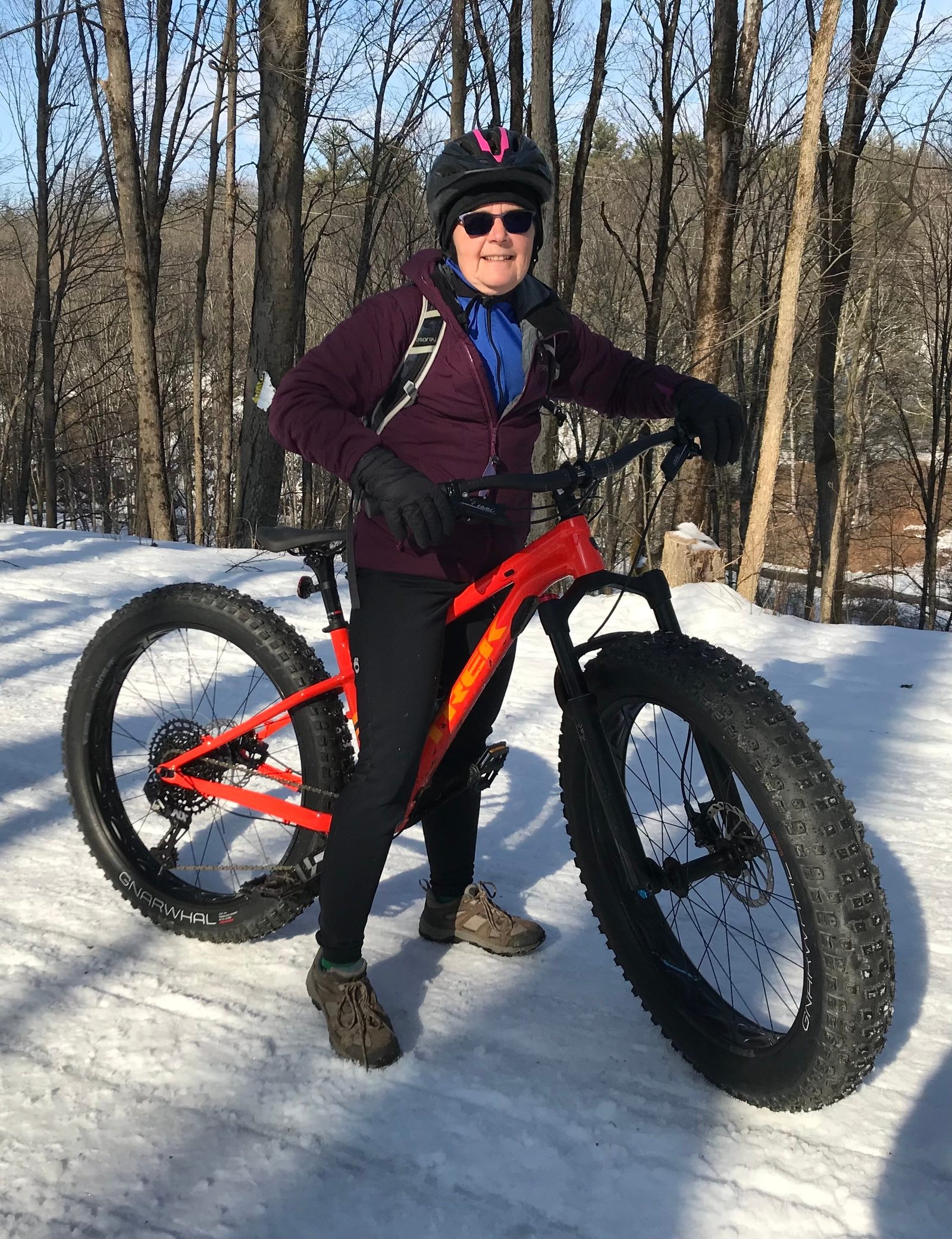Farley 7 Fat Tire Bike — photo 3