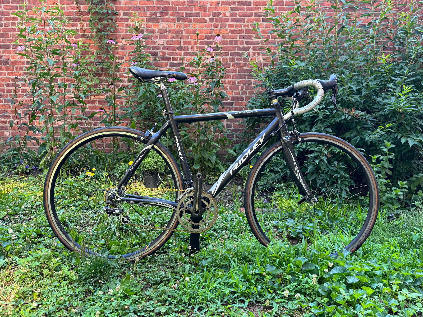Ridley Excalibur-Small